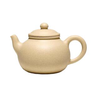 一水堂原矿家用泡茶紫砂壶标本级本山绿泥真真壶120毫升内推球孔