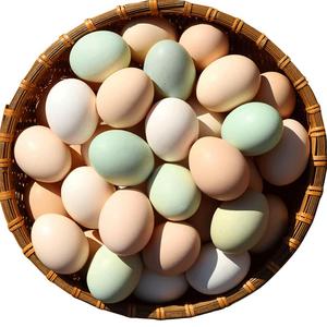 正宗土鸡蛋农家散养新鲜北京柴鸡蛋山林地纯笨草鸡蛋整箱40枚包邮