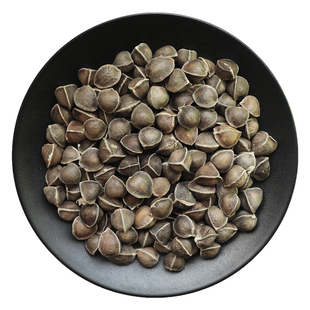 辣木籽云南辣木子非野生辣木籽果辣木子果辣目子黑粉大果新鲜干货