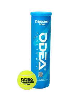 passion耐打4粒罐装高弹气压
