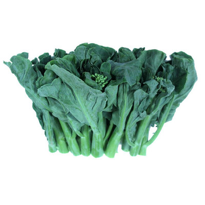 宝宝芥兰菜种籽介兰菜种