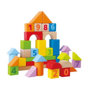 Hape40粒益智积木拼装玩具1岁男女孩婴幼儿宝宝木制早教儿童启蒙