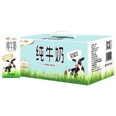 遵义纯牛奶200ml*10盒15盒