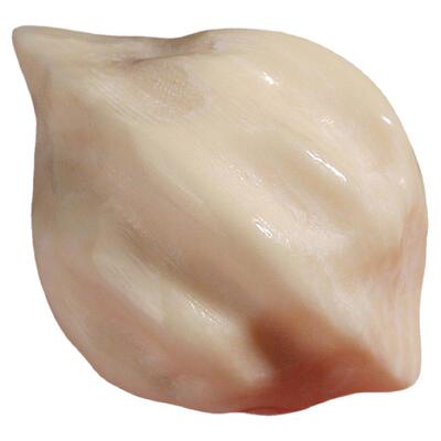 潮世代猛犸牙横打百香籽DIY隔珠