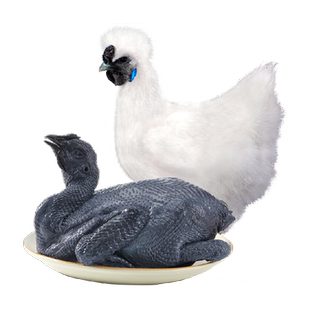 温氏天露乌骨鸡农家土鸡正宗走地乌鸡农场直供煲汤食材