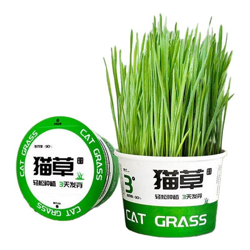 懒人泡面猫草三天包发芽