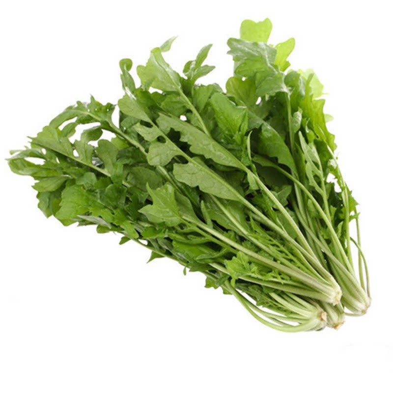 陕西秦岭野生荠菜现挖发货