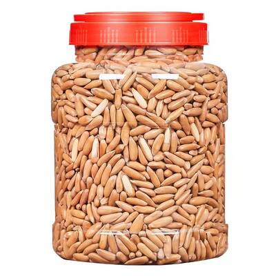 巴西手剥松子坚果大颗粒新货长粒年货炒货零食重250g500g休闲罐装