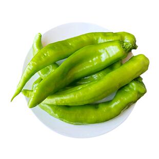 密云本地大辣椒新鲜蔬菜青尖椒薄皮现摘发货350g微辣炒菜凉拌青椒