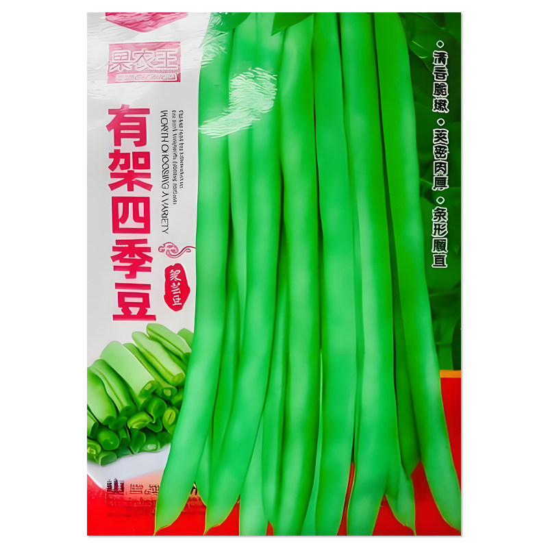有架四季豆种子蔬菜种子