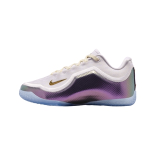 NIKE耐克大童LEBRON XXIII FTR运动训练篮球鞋IV4873-102