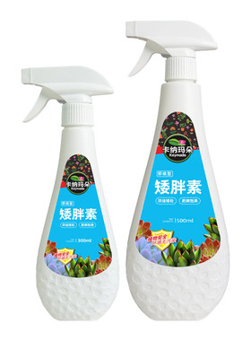 卡纳玛朵矮胖素多肉防控徒长控型