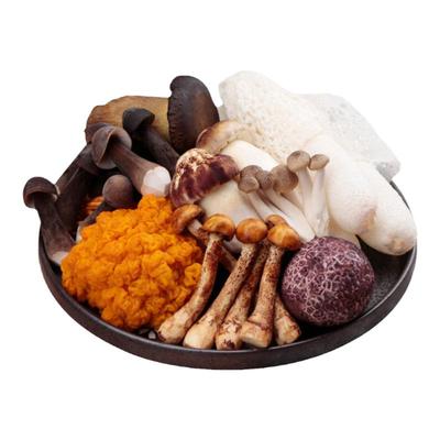 一次尝鲜8-15种野生菌鲜到掉眉毛