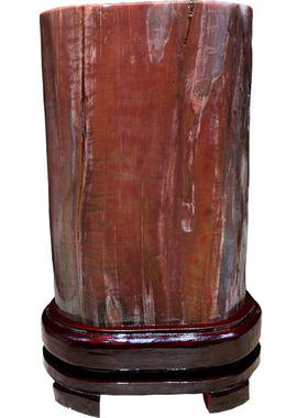 天然木化石原石硅化木奇石摆件