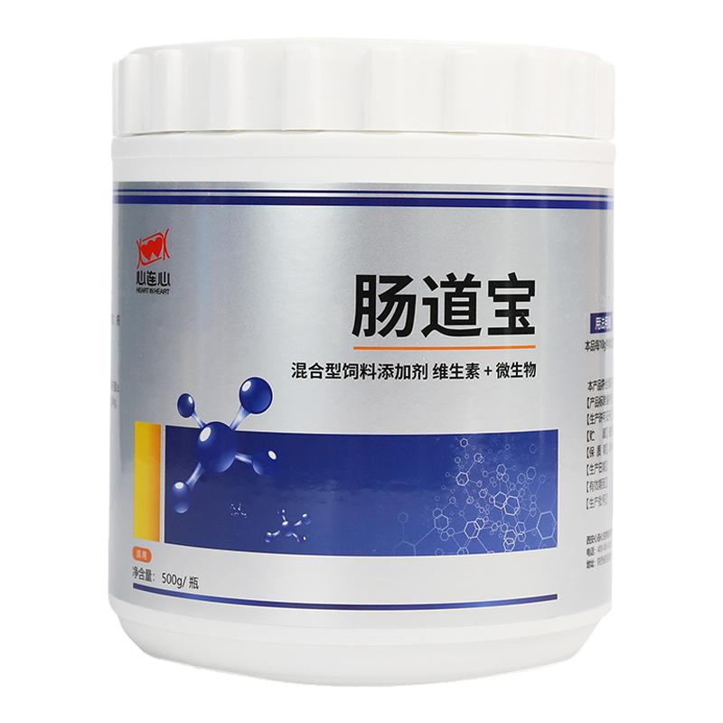 心连心鸽药肠道宝益生菌促消化