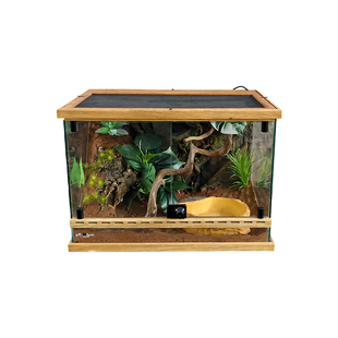 宠物蛇造景玻璃饲养缸生态环境爬宠缸雨林缸水陆缸景观蛇的家木边