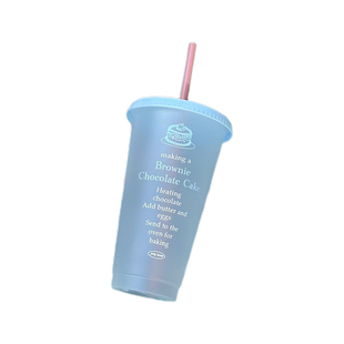 citywalk!水杯2025新款女生高颜值小众杯子夏天塑料吸管杯咖啡杯