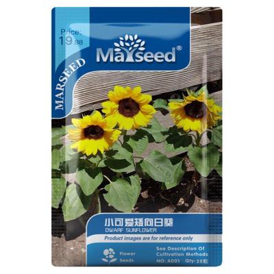 【掌柜推荐】进口矮生向日葵种子