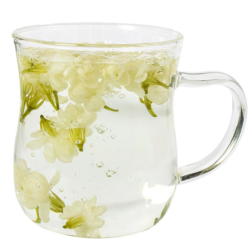 买1发2袋2026新花横县茉莉花泡茶