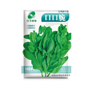 豌豆尖种子专吃豌豆苗四川无须豌豆尖种耐寒蔬菜种子籽碗豆芽苗菜