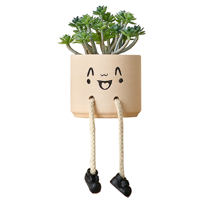 吊脚娃娃小摆件多肉小盆栽