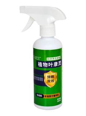 叶康灵月季兰花黑斑枯叶防治