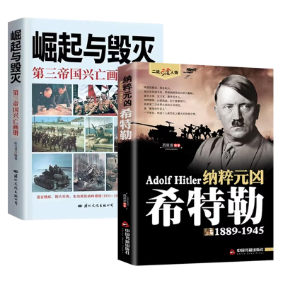 第三帝国的兴起与覆灭二战风云