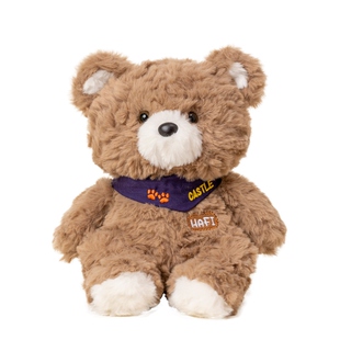 可爱哈菲小熊可录音会说话公仔玩具布娃娃生日表白礼物告白神器女