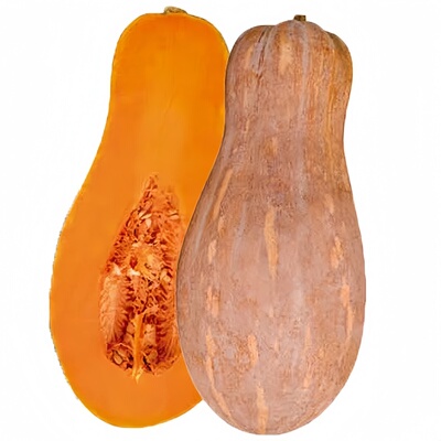 密本南瓜苗高产抗病易成活甜糯