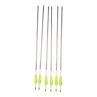 派纳斯金标5.2/6.2内径纯碳箭复合弓专用碳箭竞技比赛精品纯碳箭