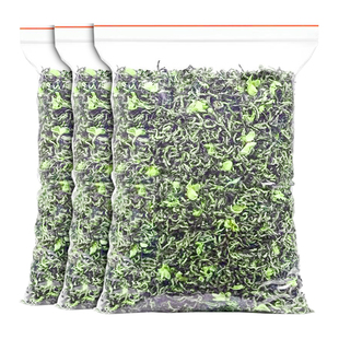 茉莉花茶毛尖绿茶口粮新茶叶散装浓香型横县茉莉绿茶花草茶袋装