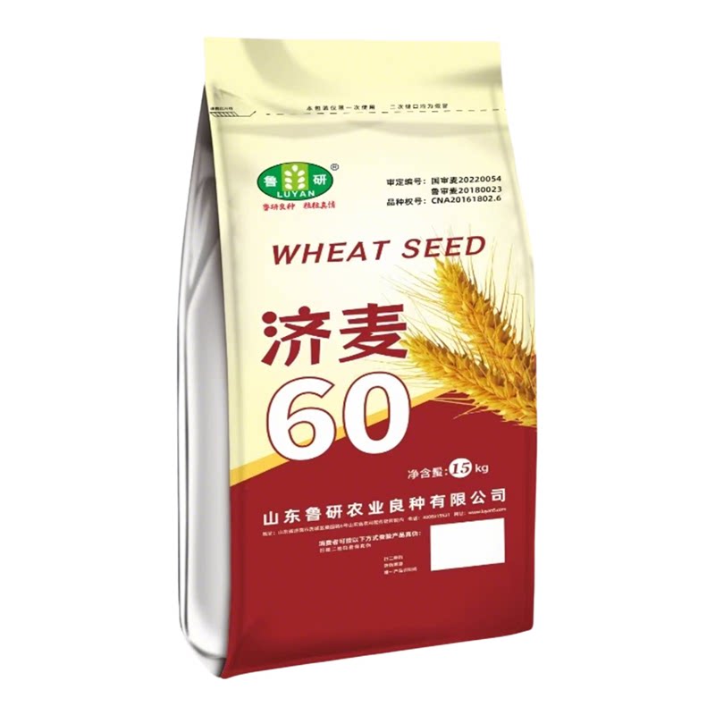 超耐盐碱！超强抗旱！农科院麦种