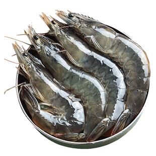 特大青岛大虾鲜活速冻生鲜大海虾海鲜水产冷冻基围虾冻虾超大白虾