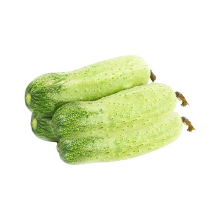 满地爬旱黄瓜种子菜籽水果黄瓜种籽四季黄瓜秋盆栽菜苗秧蔬菜种孑