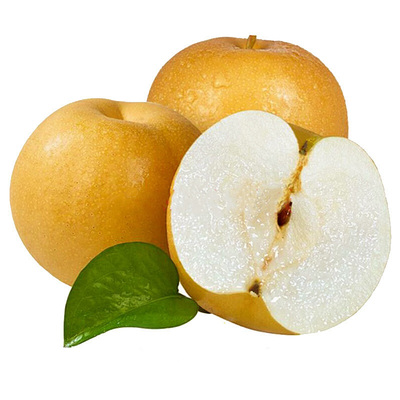 正宗秋月梨新鲜梨子水果当季整箱包邮4斤蜜梨冰糖雪梨产地直发