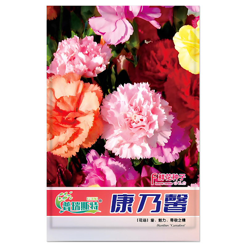康乃馨鲜花种子花卉种子