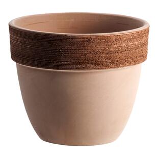 EV陶盆进口陶土意式划纹橡果盆透气透水防水可爱情绪稳定花盆家用