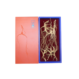 15年左右 林下籽参 残参  生晒参 打粉炖汤简装 朱洪达人参之道