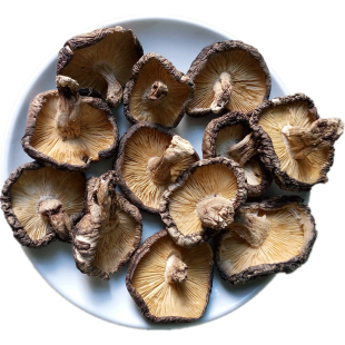 福建三明农家新鲜天然冬菇 野生香菇 干货椴木菌种特产500g包邮