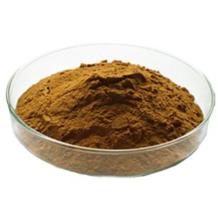 白耙齿菌提取物  浓缩粉 另售白桦茸白耙齿菌多糖30% 100g散装