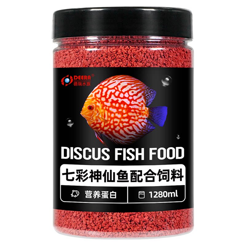 七彩神仙鱼饲料埃及神仙鱼燕鱼