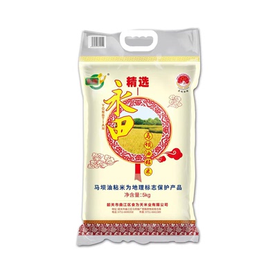 马坝油粘米韶关真空当季新米香糯