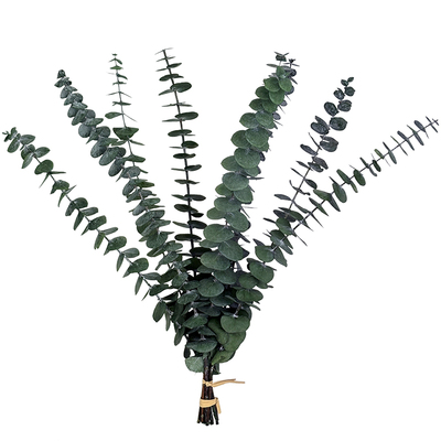 尤加利叶苹果胺真花家居客厅摆设