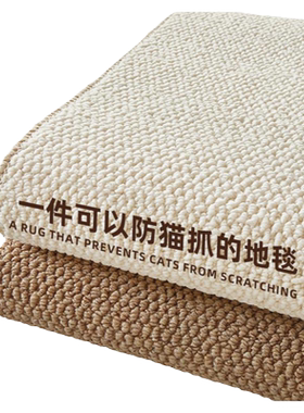 耐磨防猫抓摄影拍照背景地毯客厅
