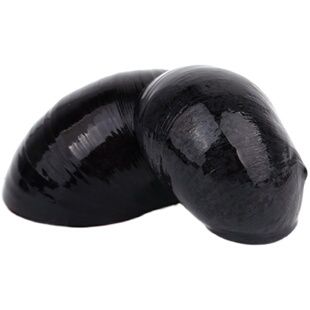 黑金刚螺水草缸清洁淡水除藻工具螺热带观赏活体清洁宠物汽水蜗牛