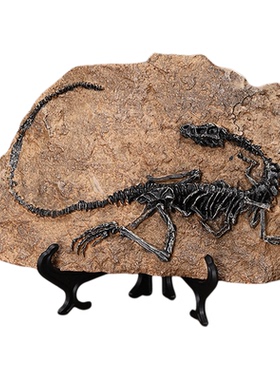 霸王龙仿真化石标本模型装饰摆件