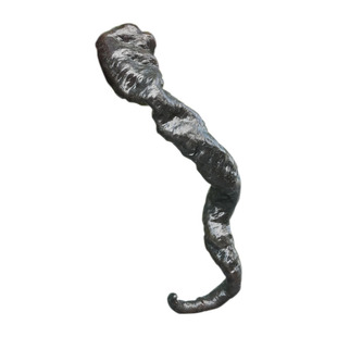 黑紫色螺丝椒尖椒麻椒泡椒辣椒种子种籽四季盆栽蔬菜苗孑秧苗高产