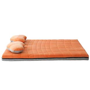 乔德5D温感护腰床垫可折叠硬垫榻榻米垫子孕妇儿童床垫腰突专用