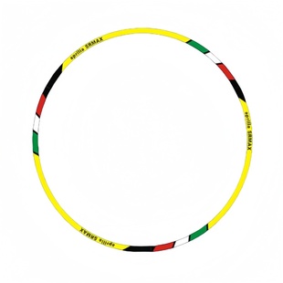 适用于阿普利亚SRMAX250轮毂反光贴防水轮胎圈300GT个性摩托车膜