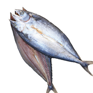 北海马鲛鱼干2斤淡晒鲅鱼干农家风干咸鱼干海鱼干新鲜梅香马胶鱼